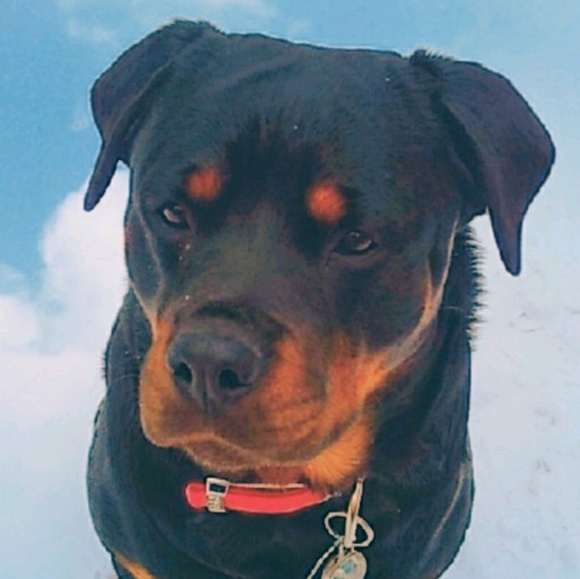 Meet your Posher, Rickijo - Picture 1 of 1